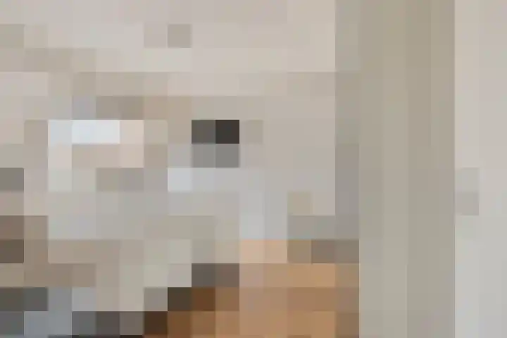 Vlielandlaan 21 Duiven thumbnail 25