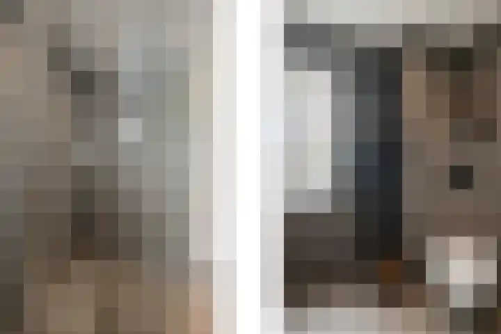 Vlielandlaan 21 Duiven thumbnail 32