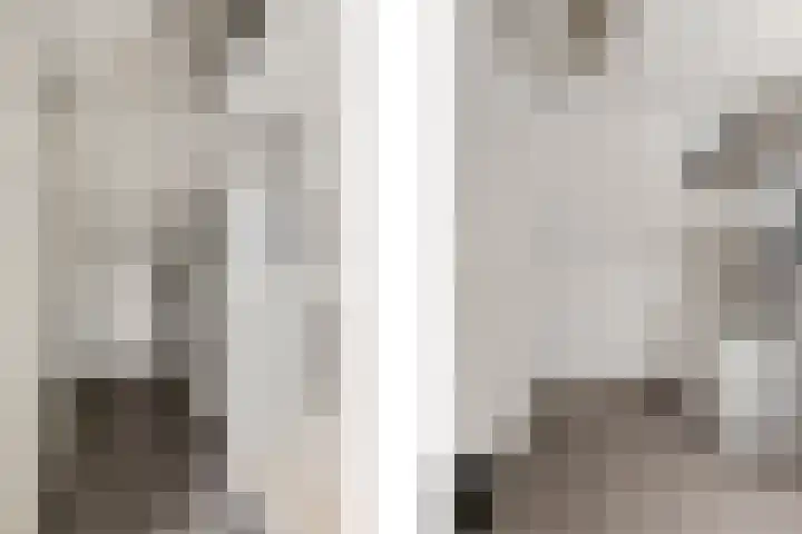 Vlielandlaan 21 Duiven thumbnail 34