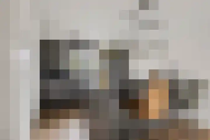 Vlielandlaan 21 Duiven thumbnail 4