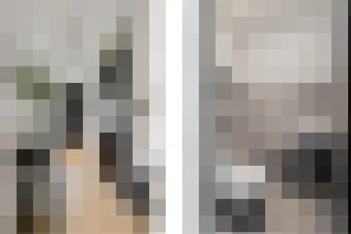 Vlielandlaan 21 Duiven thumbnail 8
