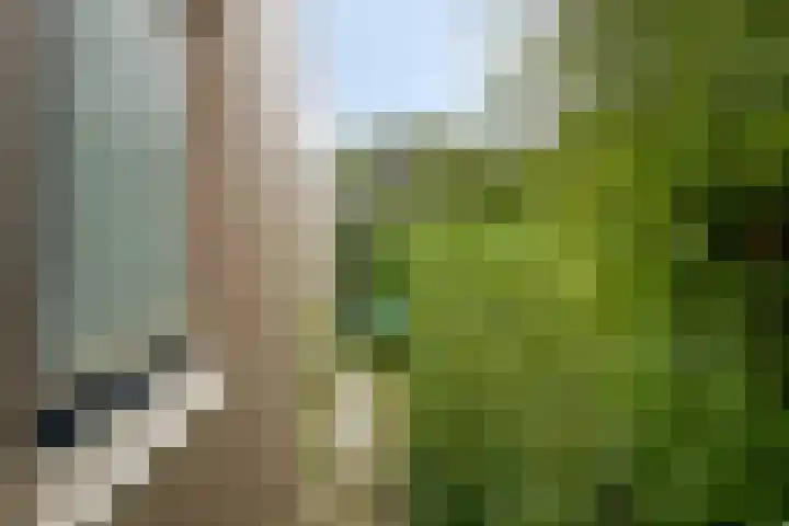 Vlielandseweg 117 Pijnacker thumbnail 28