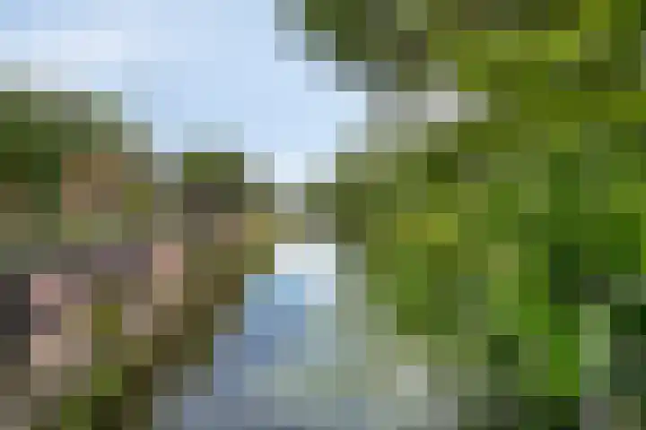 Vlielandseweg 117 Pijnacker thumbnail 33