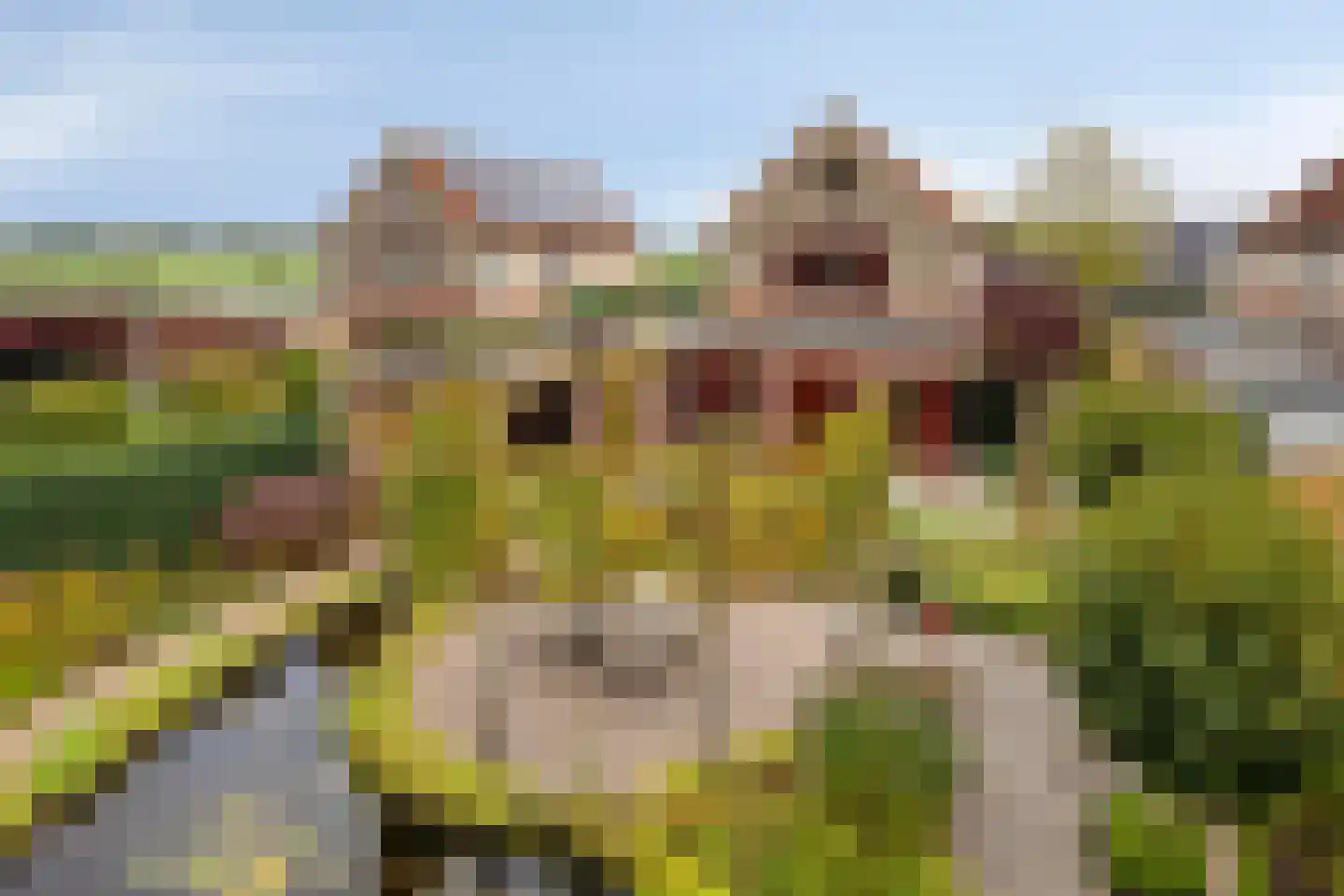 Vlierlaan 29 in Terheijden