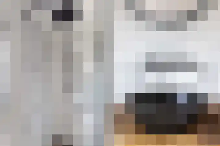 Vlierstraat 16 Wezep thumbnail 4