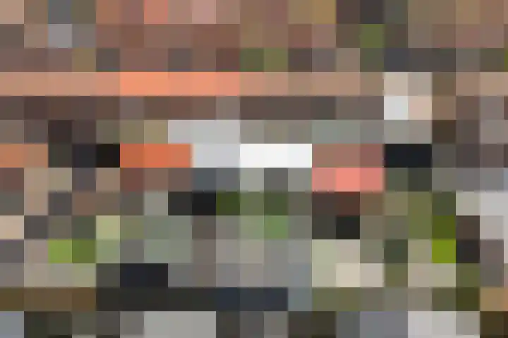 Vlierstraat 16 Wezep thumbnail 42