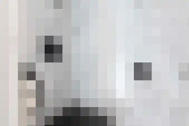 Vlierstraat 16 Wezep thumbnail 9
