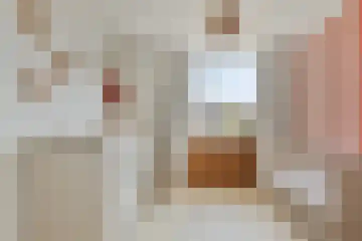 Vlierstraat 24 Steenbergen thumbnail 22