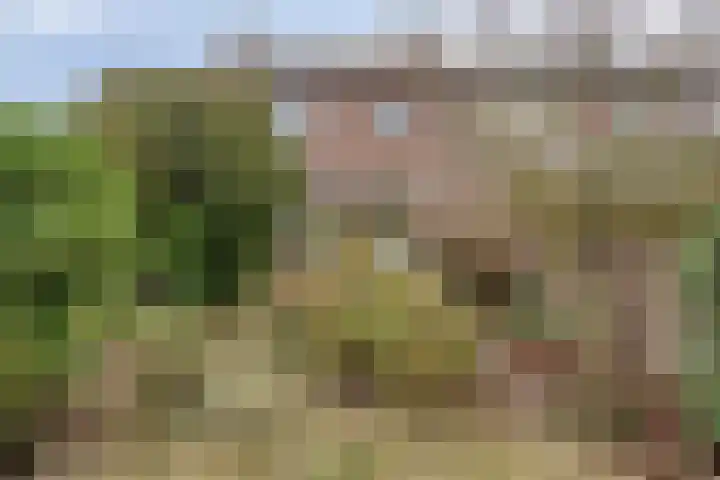 Vlierstraat 5 Asten thumbnail 23