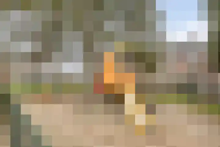 Vlierstraat 5 Asten thumbnail 27