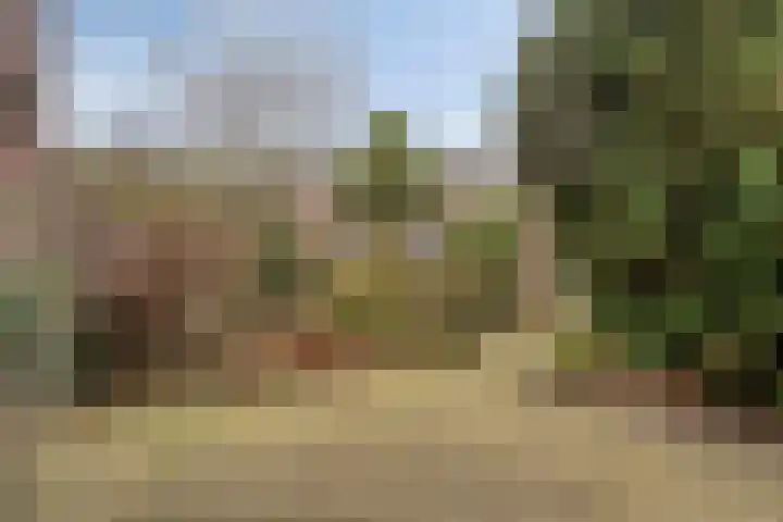 Vlierstraat 5 Asten thumbnail 4