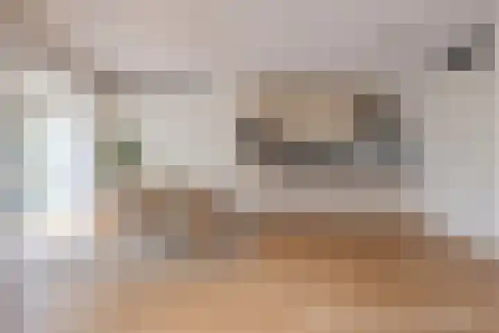Vlierstraat 77 Venray thumbnail 12
