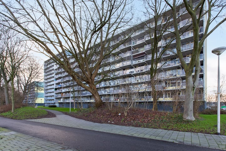 Vliestroom 113 in Alphen aan den Rijn foto