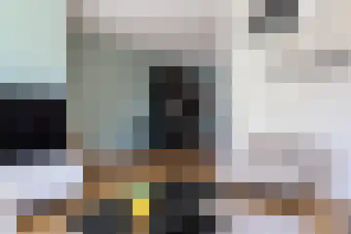 Vliestroom 13 Harlingen thumbnail 12