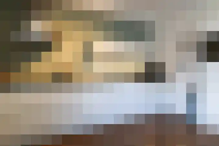 Vliestroom 13 Harlingen thumbnail 19