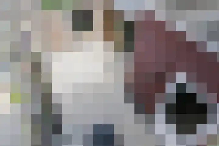 Vliestroom 13 Harlingen thumbnail 49