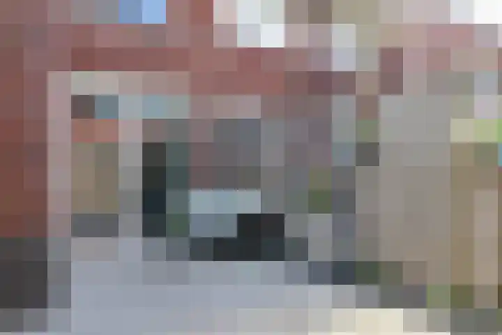 Vliestroom 13 Harlingen thumbnail 54