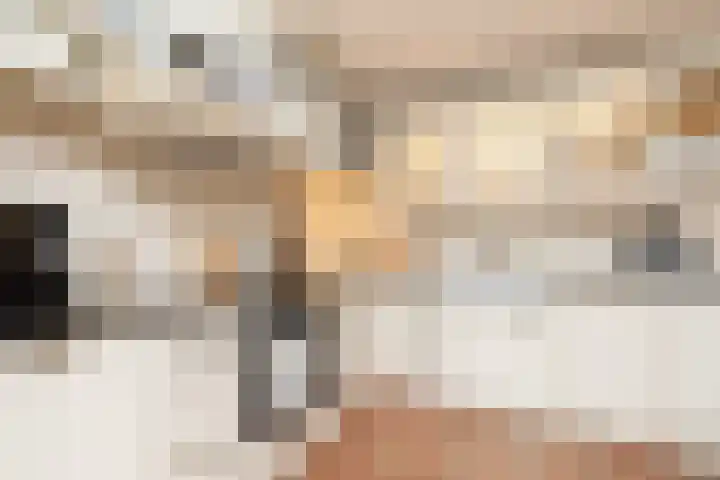 Vliestroom 17 Sneek thumbnail 11