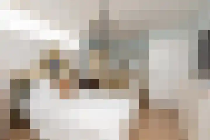 Vliestroom 17 Sneek thumbnail 19