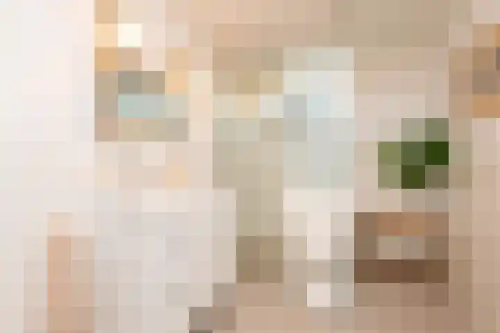 Vliestroom 17 Sneek thumbnail 24