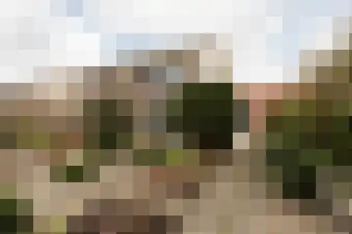 Vliestroom 17 Sneek thumbnail 36