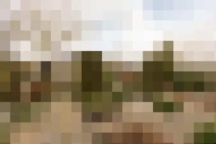 Vliestroom 17 Sneek thumbnail 39