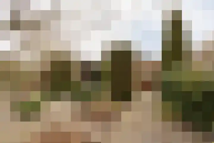 Vliestroom 17 Sneek thumbnail 40