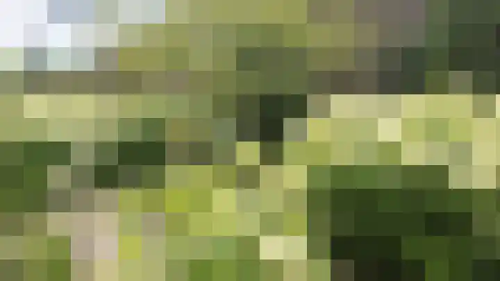 Vliestroom 17 Sneek thumbnail 46