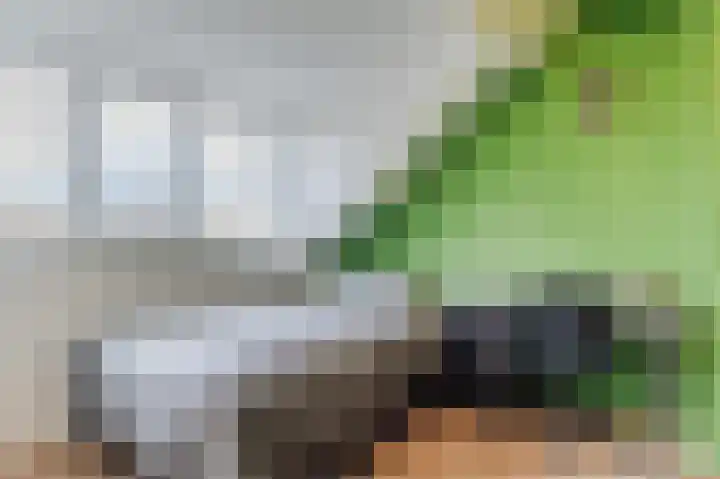 Vliet 4 Oudewater thumbnail 40