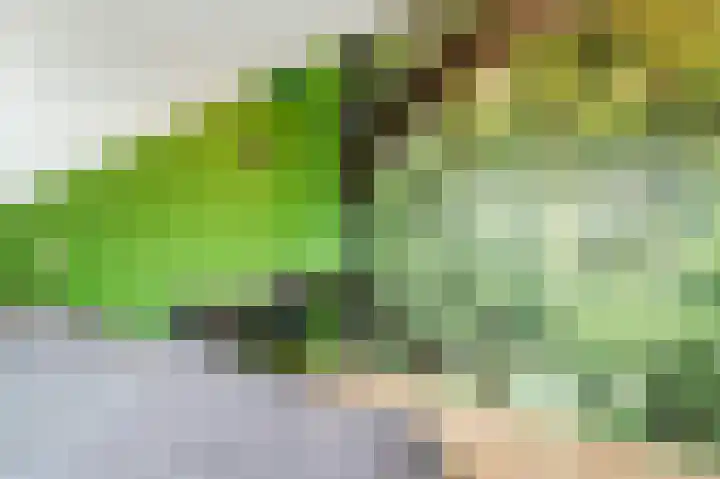 Vliet 4 Oudewater thumbnail 42