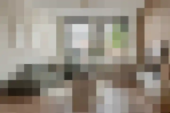 Vliet 56 Franeker thumbnail 5