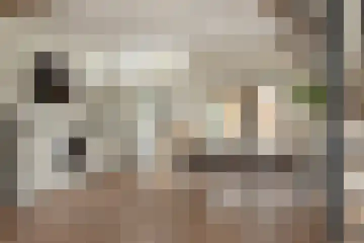 Vliet 56 Franeker thumbnail 7