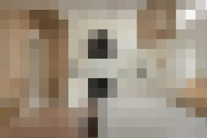 Vliet 56 Franeker thumbnail 9