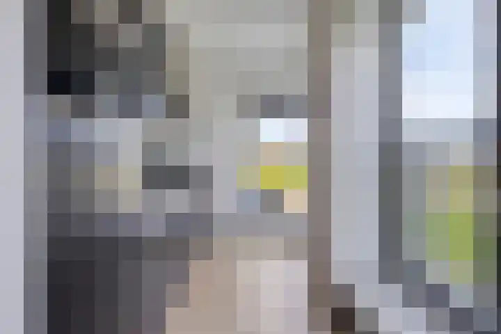 Vlietdijk 182 Rosmalen thumbnail 13