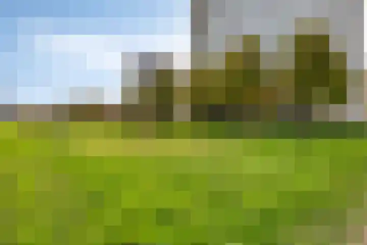 Vlietdijk 182 Rosmalen thumbnail 25