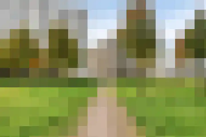 Vlietdijk 182 Rosmalen thumbnail 5