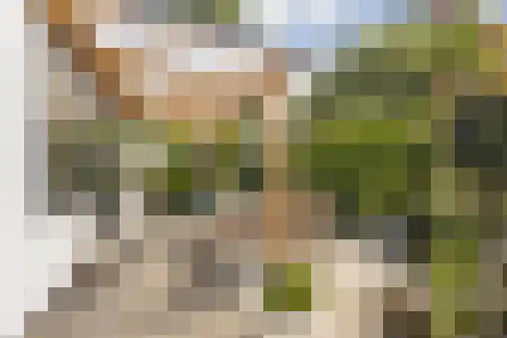Vlietpark 39 Leiden thumbnail 16