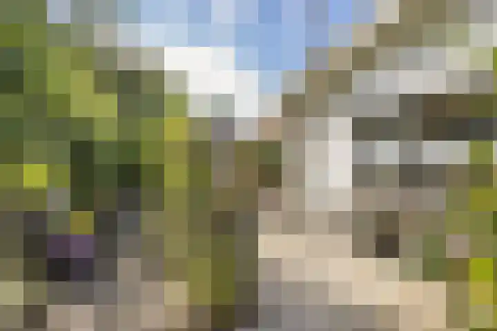 Vlietpark 39 Leiden thumbnail 18