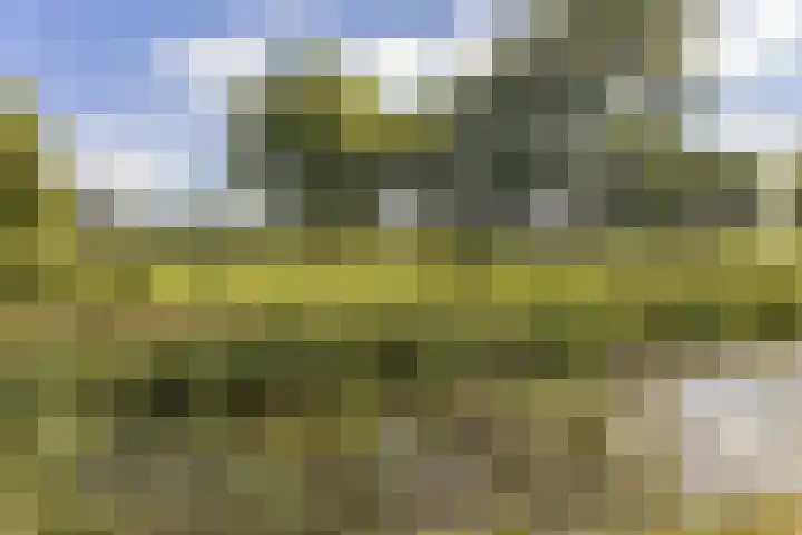 Vlietpark 39 Leiden thumbnail 24