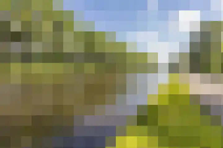 Vlietpark 39 Leiden thumbnail 26