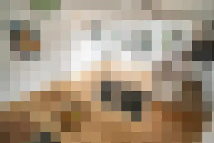 Vlietpark 59 Leiden thumbnail 12