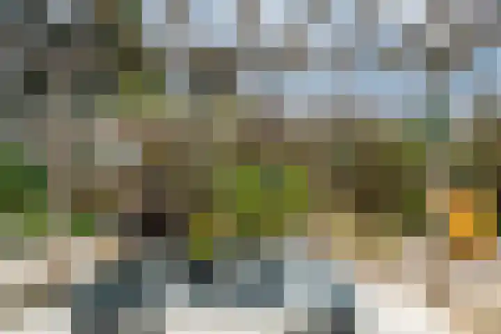 Vlietpark 59 Leiden thumbnail 15