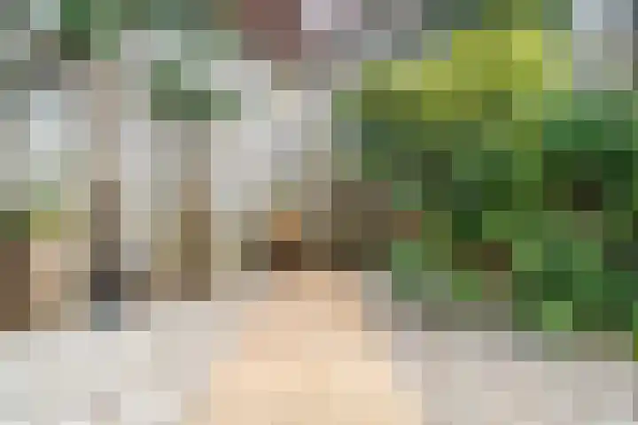 Vlietpark 59 Leiden thumbnail 17