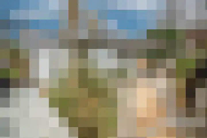 Vlietpark 59 Leiden thumbnail 20