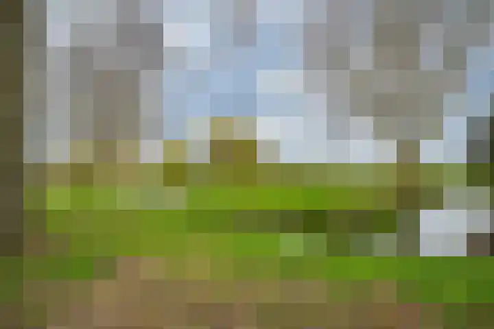 Vlietpark 59 Leiden thumbnail 4