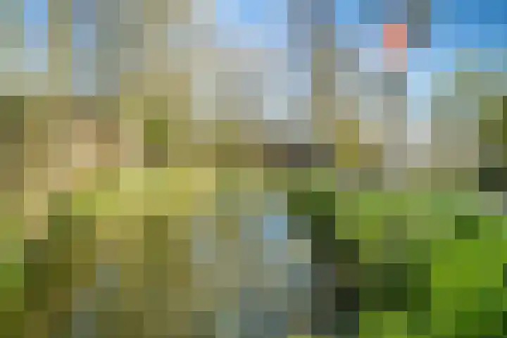 Vlietpark 59 Leiden thumbnail 43