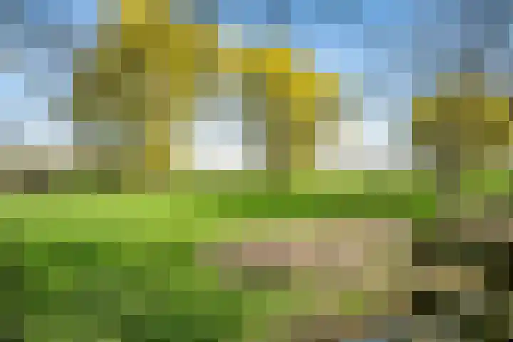 Vlietpark 59 Leiden thumbnail 44
