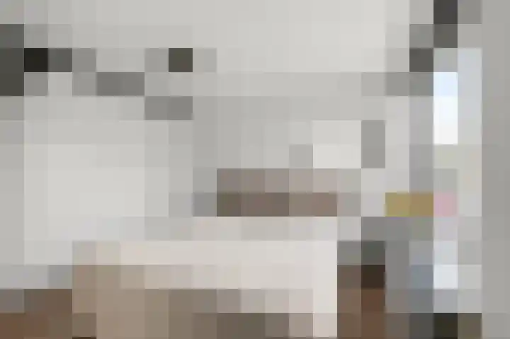 Vlietsend 52 C Krommenie thumbnail 12
