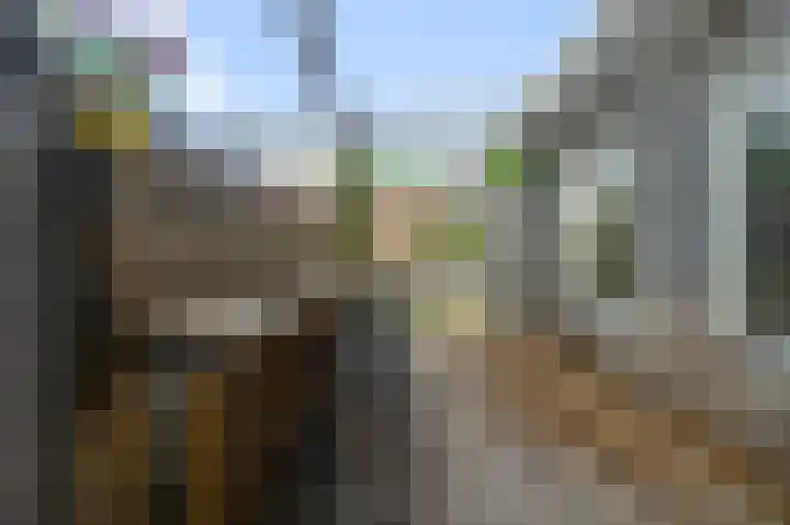 Vlietsend 52 C Krommenie thumbnail 20