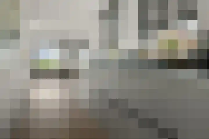 Vlietsend 52 C Krommenie thumbnail 4